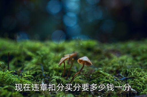 現(xiàn)在違章扣分買分要多少錢一分