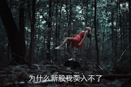 為什么新股我買入不了