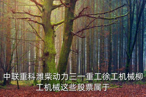 002552是什么板塊，中聯(lián)重科濰柴動力三一重工徐工機械柳工機械這些股票屬于