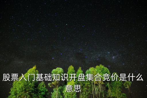 股票入門基礎(chǔ)知識(shí)開(kāi)盤集合競(jìng)價(jià)是什么意思