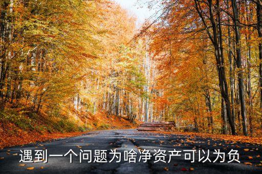 凈資產(chǎn)為負(fù)數(shù)說明什么，為什么凈資產(chǎn)會是負(fù)數(shù)