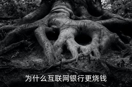 為什么互聯(lián)網(wǎng)銀行更燒錢