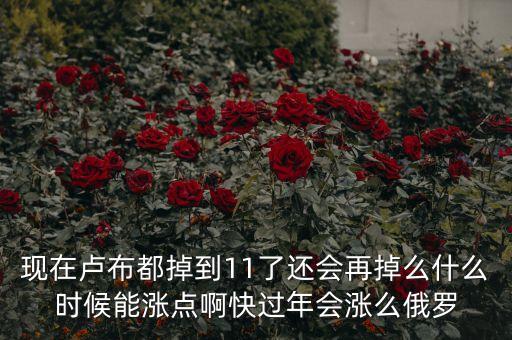 現(xiàn)在盧布都掉到11了還會再掉么什么時候能漲點啊快過年會漲么俄羅