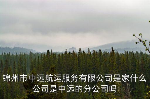 覽海上壽是什么公司，錦州市中遠(yuǎn)航運(yùn)服務(wù)有限公司是家什么公司是中遠(yuǎn)的分公司嗎