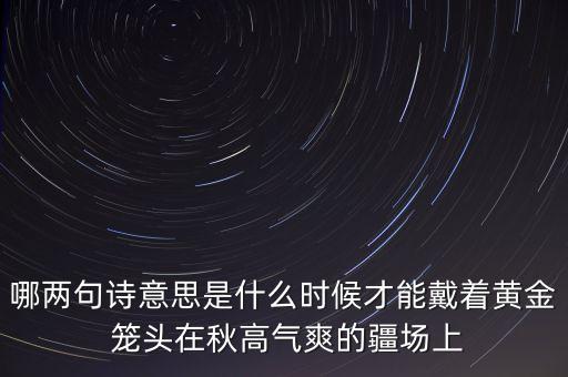 哪兩句詩意思是什么時候才能戴著黃金 籠頭在秋高氣爽的疆場上