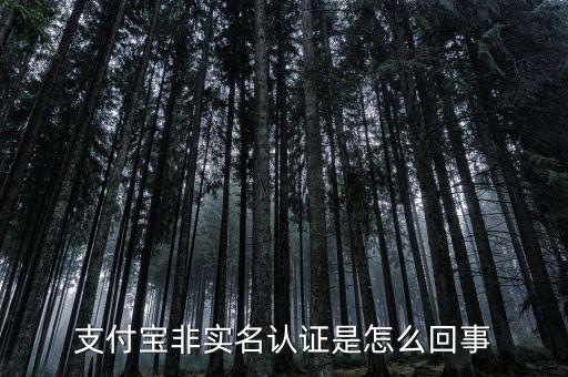 支付寶賬戶未實(shí)名認(rèn)證什么意思，支付寶非實(shí)名認(rèn)證是怎么回事