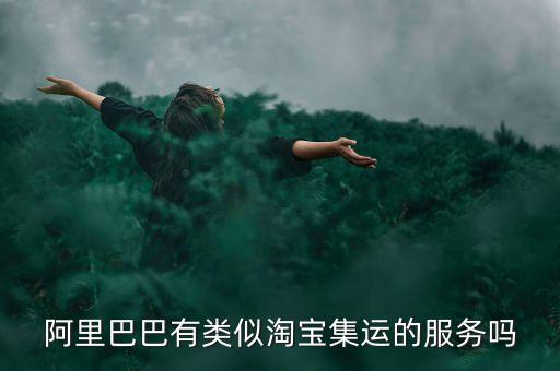 阿里巴巴有類似淘寶集運(yùn)的服務(wù)嗎