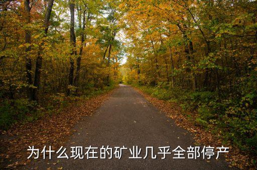 為什么現(xiàn)在的礦業(yè)幾乎全部停產