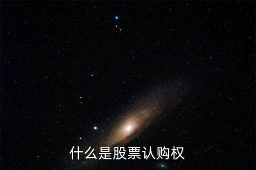什么是認購股份，什么是股票認購權