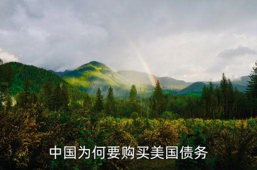 中國政府為什么買美國國債，中國為什么要買那么多美國國債能不能說得通俗一點我不太懂經(jīng)濟