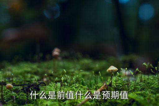 什么是前值什么是預(yù)期值
