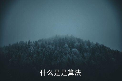 什么是是算法