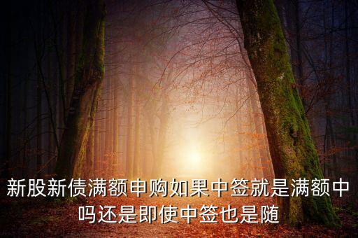 滿額申購什么意思，滬市滿額打新是什么意思