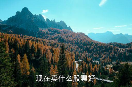 賣什么股票好，現(xiàn)在賣什么股票好