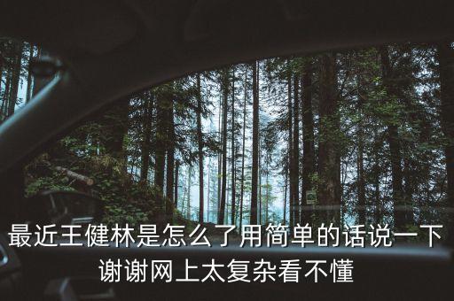 最近王健林是怎么了用簡(jiǎn)單的話說一下謝謝網(wǎng)上太復(fù)雜看不懂