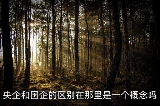什么是央企什么是國(guó)企，請(qǐng)問央企和國(guó)企有什么區(qū)別最好能夠舉例說明謝謝