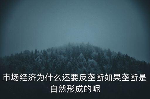 市場(chǎng)經(jīng)濟(jì)為什么還要反壟斷如果壟斷是自然形成的呢