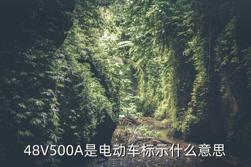 金鷹500a是什么，蓄電池上面寫著12v 60ah500a是什么意思