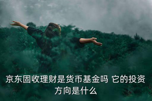 京東固收理財是貨幣基金嗎 它的投資方向是什么