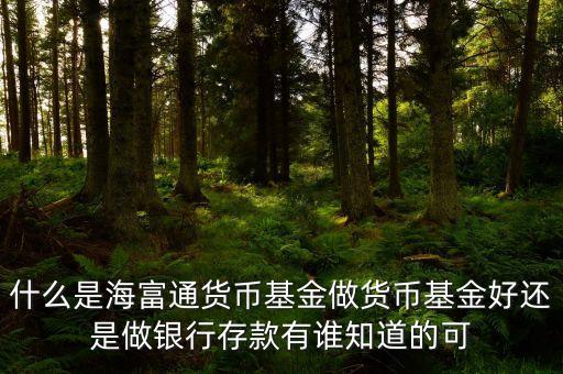 海富通貨幣基金是什么產(chǎn)業(yè)，什么是海富通貨幣基金做貨幣基金好還是做銀行存款有誰(shuí)知道的可