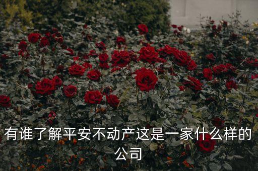 有誰了解平安不動產(chǎn)這是一家什么樣的公司