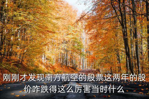 南航美股是什么意識，海南航空股票前帶lr300什么意思