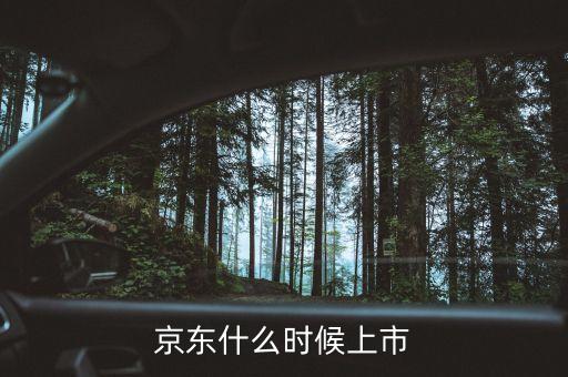 京東什么時間上市，京東什么時候上市
