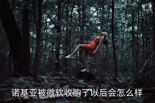 微軟收購(gòu)諾基亞有什么風(fēng)險(xiǎn)，微軟收購(gòu)諾基亞給諾基亞公司帶來(lái)怎樣的損失及破壞