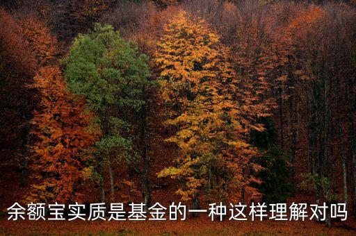 余額寶實質(zhì)是基金的一種這樣理解對嗎