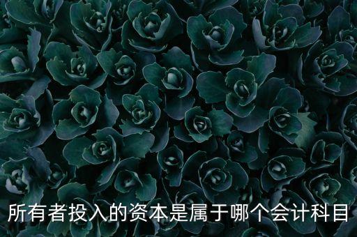 所有者投入資本是什么，所有者投入的資本是所有者權(quán)益