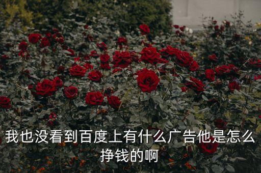 我也沒看到百度上有什么廣告他是怎么掙錢的啊