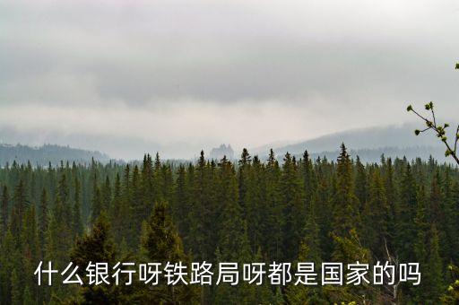 什么銀行呀鐵路局呀都是國家的嗎