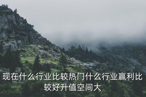 什么行業(yè)公司升值，現(xiàn)在什么行業(yè)的升值空間最大