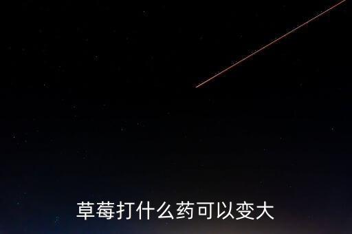 草莓打什么藥可以變大