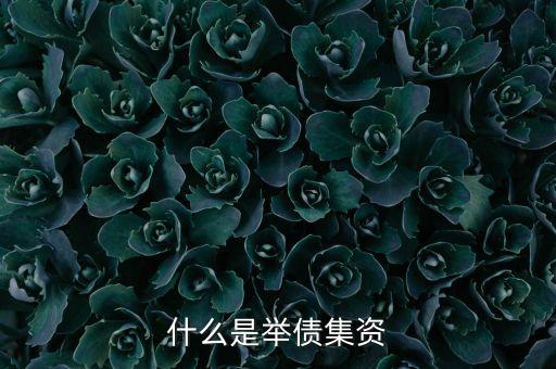 什么是舉債融資機制，什么是舉債集資