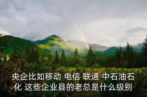 中石油李萬余什么職務(wù)，央企比如移動(dòng) 電信 聯(lián)通 中石油石化 這些企業(yè)縣的老總是什么級別