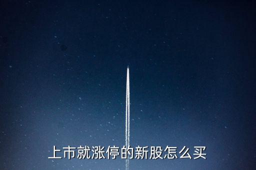 002715什么時(shí)候上市，次新股漲停板買入技巧