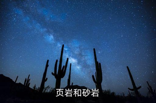 什么事頁巖礦，頁巖是什么
