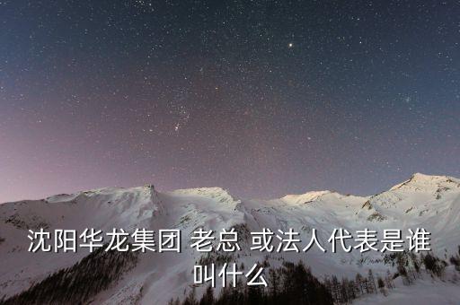 沈陽華龍集團(tuán) 老總 或法人代表是誰叫什么