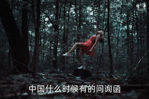 中國什么時候有的問詢函