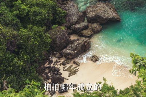 拍拍網(wǎng)什么時(shí)候成立，拍拍哪年成立的