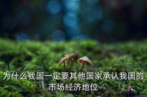 中國經(jīng)濟(jì)地位為什么重要，國有經(jīng)濟(jì)的地位和作用是怎樣的