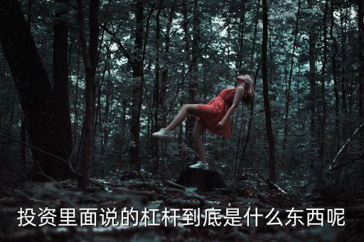 投資里面說的杠桿到底是什么東西呢