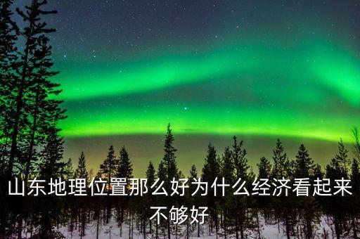 為什么質(zhì)疑山東經(jīng)濟(jì)，圖表反映出山東省經(jīng)濟(jì)結(jié)構(gòu)中存在什么問(wèn)題