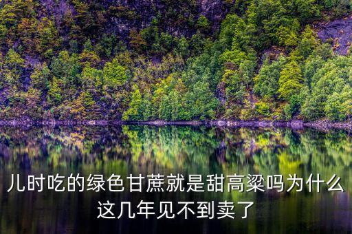 為什么今年的甘蔗賣不出去，為何橫縣的甘蔗賣不出