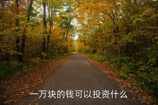 一萬塊的錢可以投資什么