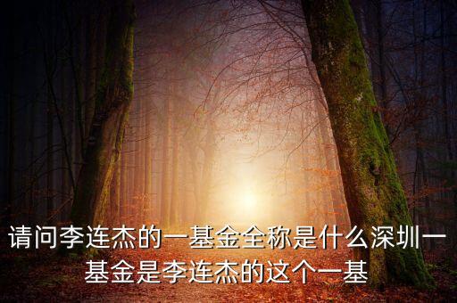 請問李連杰的一基金全稱是什么深圳一基金是李連杰的這個一基
