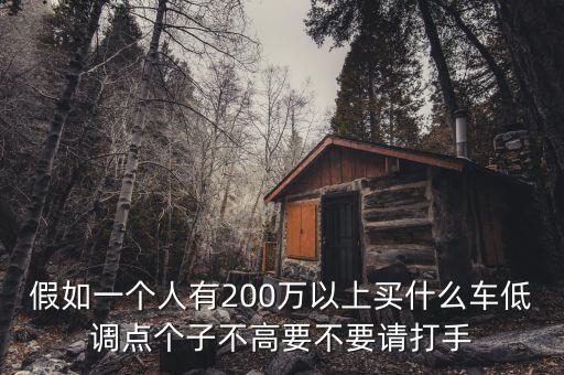 假如一個人有200萬以上買什么車低調(diào)點個子不高要不要請打手