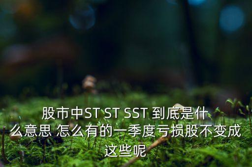 st銀山是什么公司，數(shù)量單位用st表示是什么意思