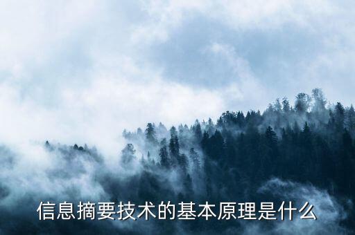 什么是電子摘要技術(shù)，加密技術(shù)和什么是電子商務(wù)和電子政務(wù)安全常用的技術(shù)